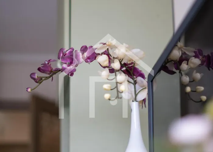 Cimadevilla Appartement *